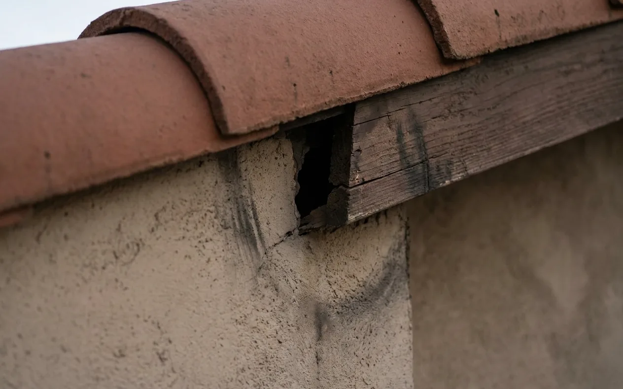 Rodent entry point at the fascia of an older Montgomery home Rodent entry point at the fascia of an older Montgomery home